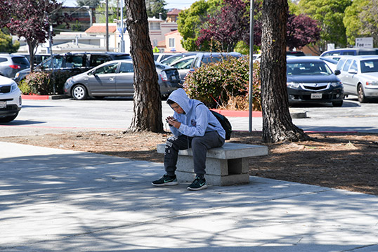Image of a person on their phone sitting on a concrete bench in a tree-shaded area