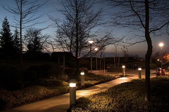 Image of well-lit pathway adjacent hedges and trees at dusk